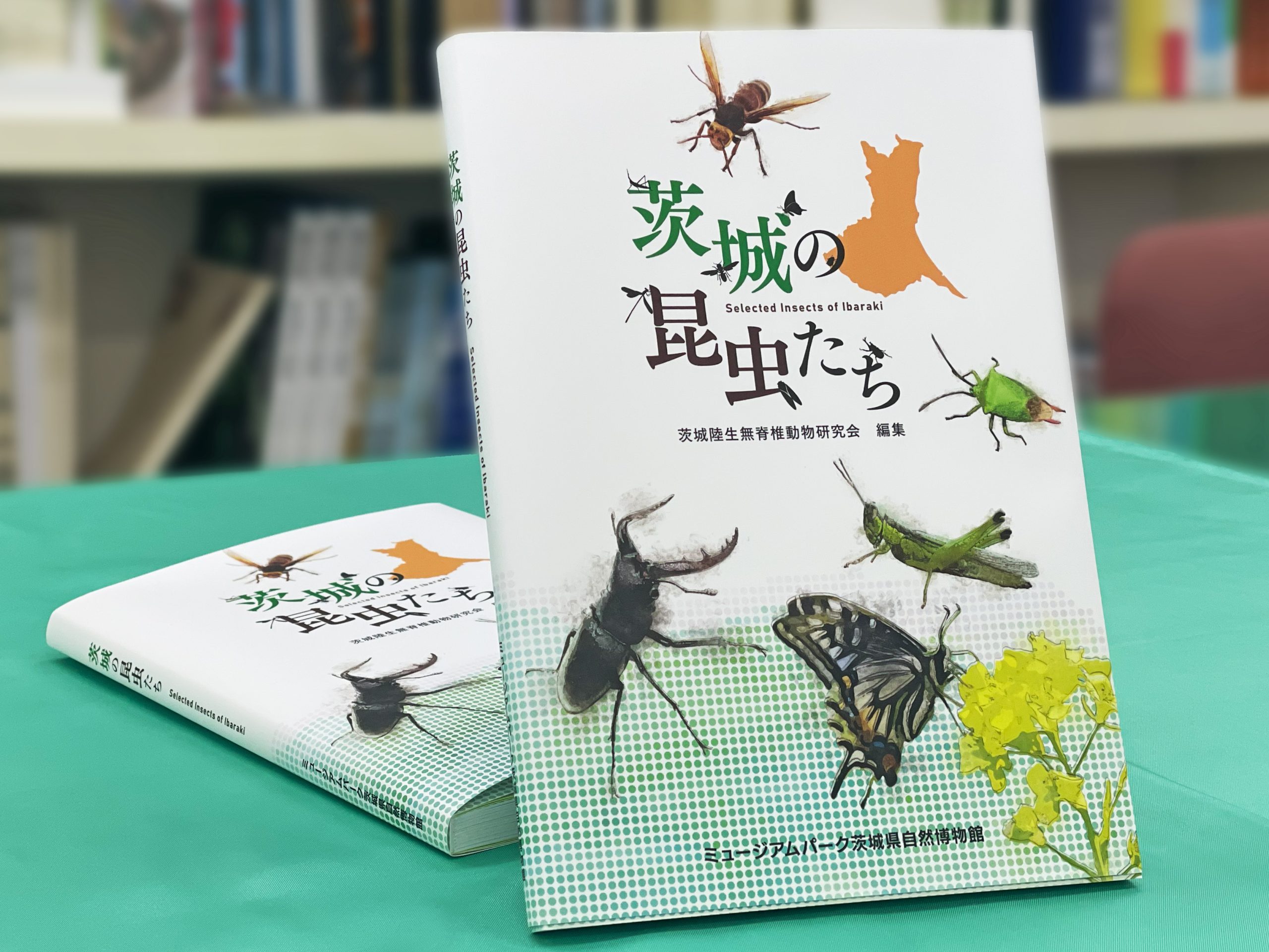 ミュージアムパーク茨城県自然博物館様 茨城の昆虫たち - 株式